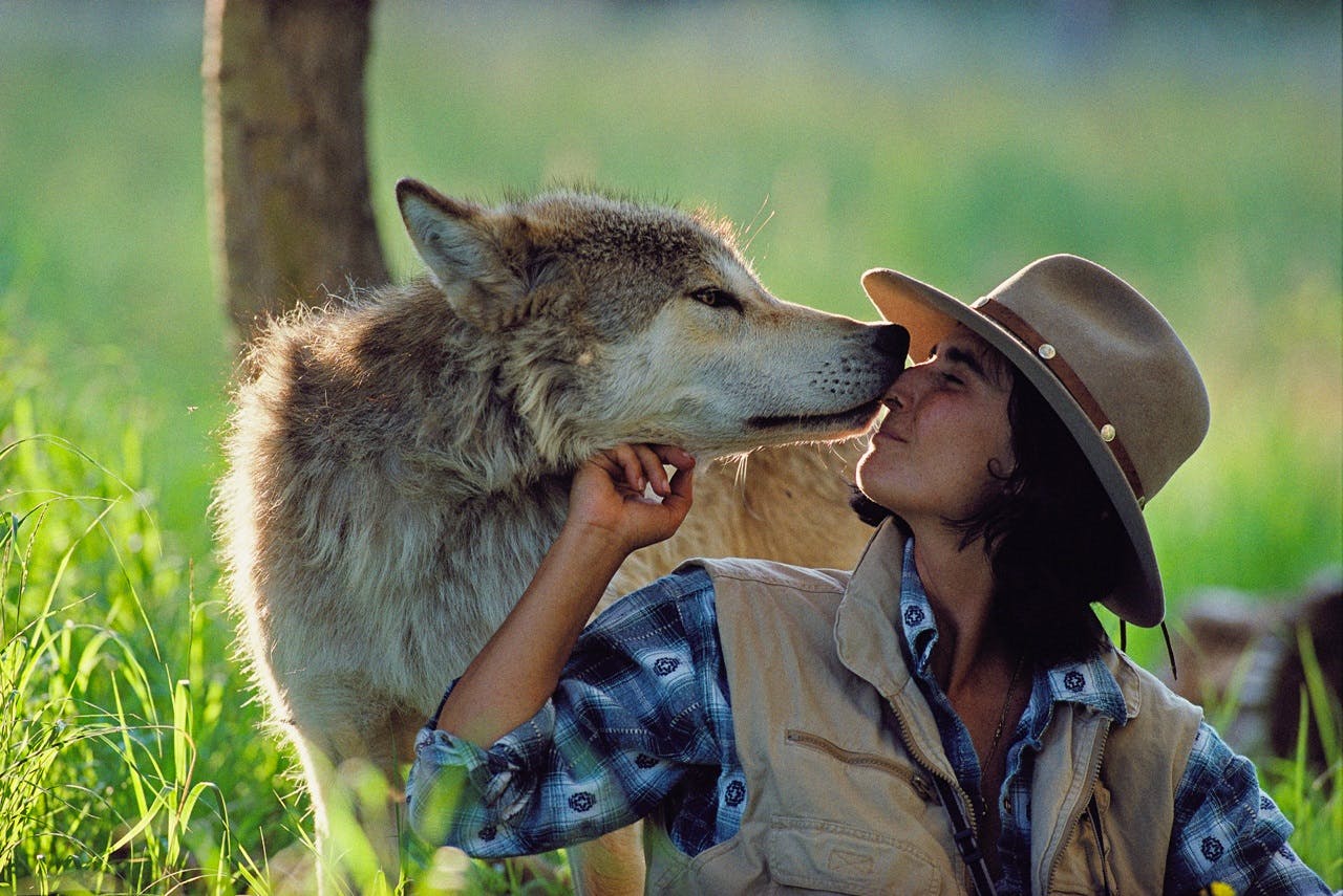 ADVENTURE: Living with Wolves: Filmmakers Jim and Jamie Dutcher’s six-year adventure camping with the Sawtooth Pack
