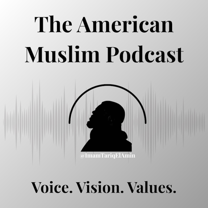 Artwork for podcast The American Muslim Podcast