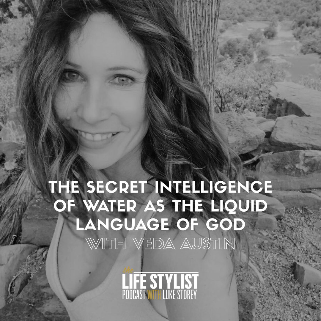 The Life Stylist