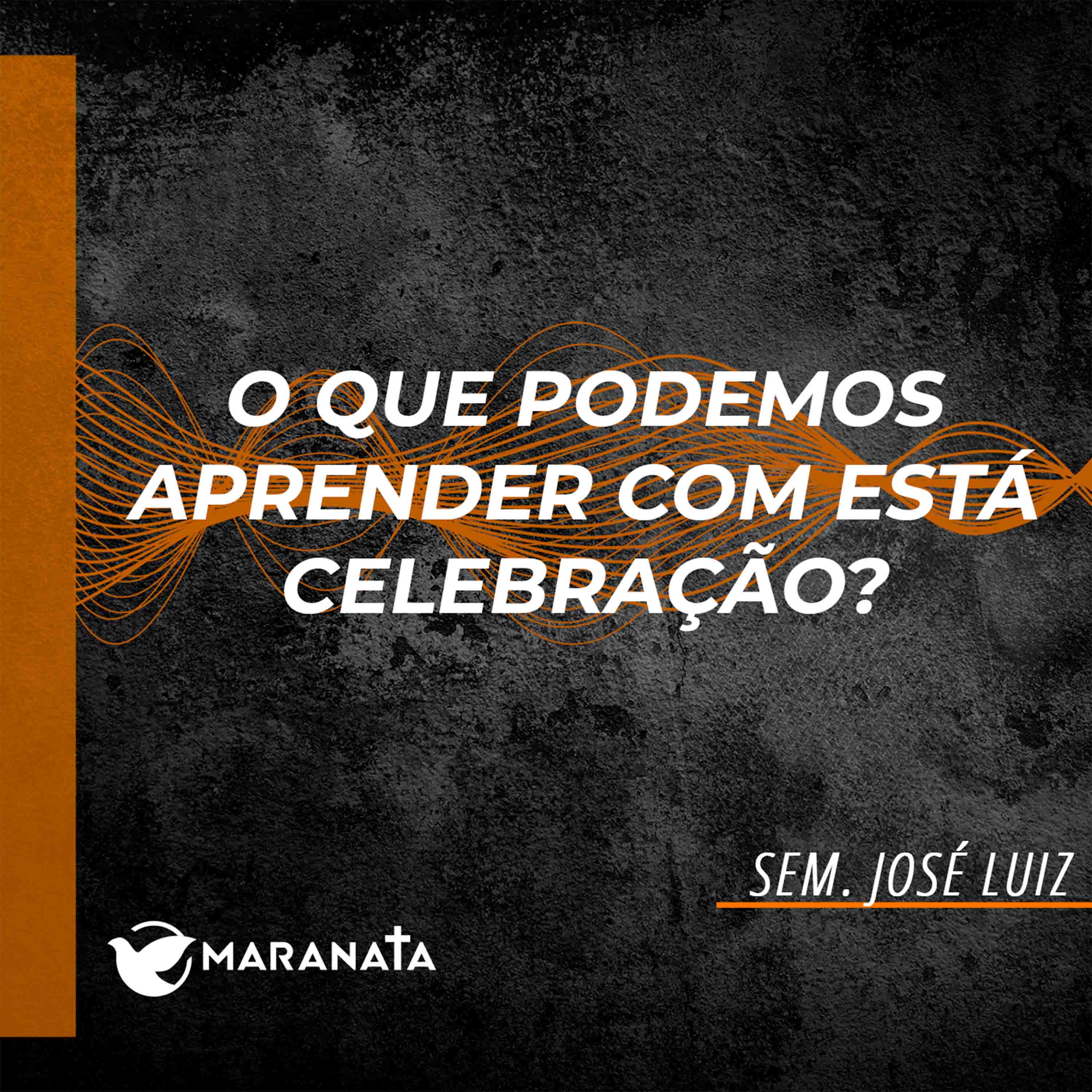 O que podemos aprender com está celebração? - Sem. José Luiz episode artwork