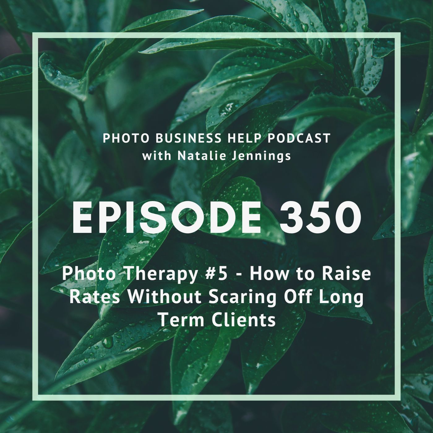 350 Photo Therapy #5 - How to Raise Rates Without Scaring Off Long Term Clients