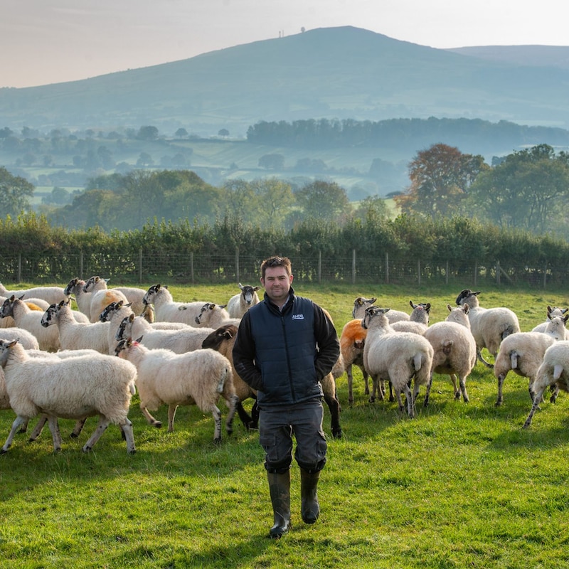 Artwork for podcast AHDB Food & Farming