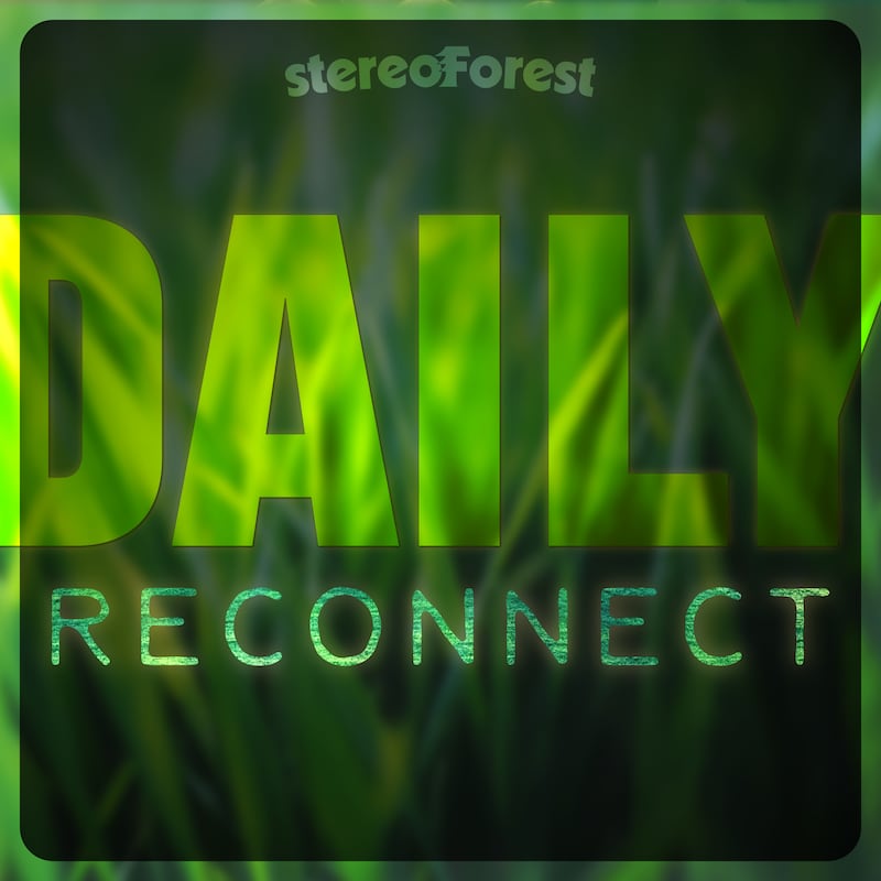 Artwork for podcast The Daily Reconnect