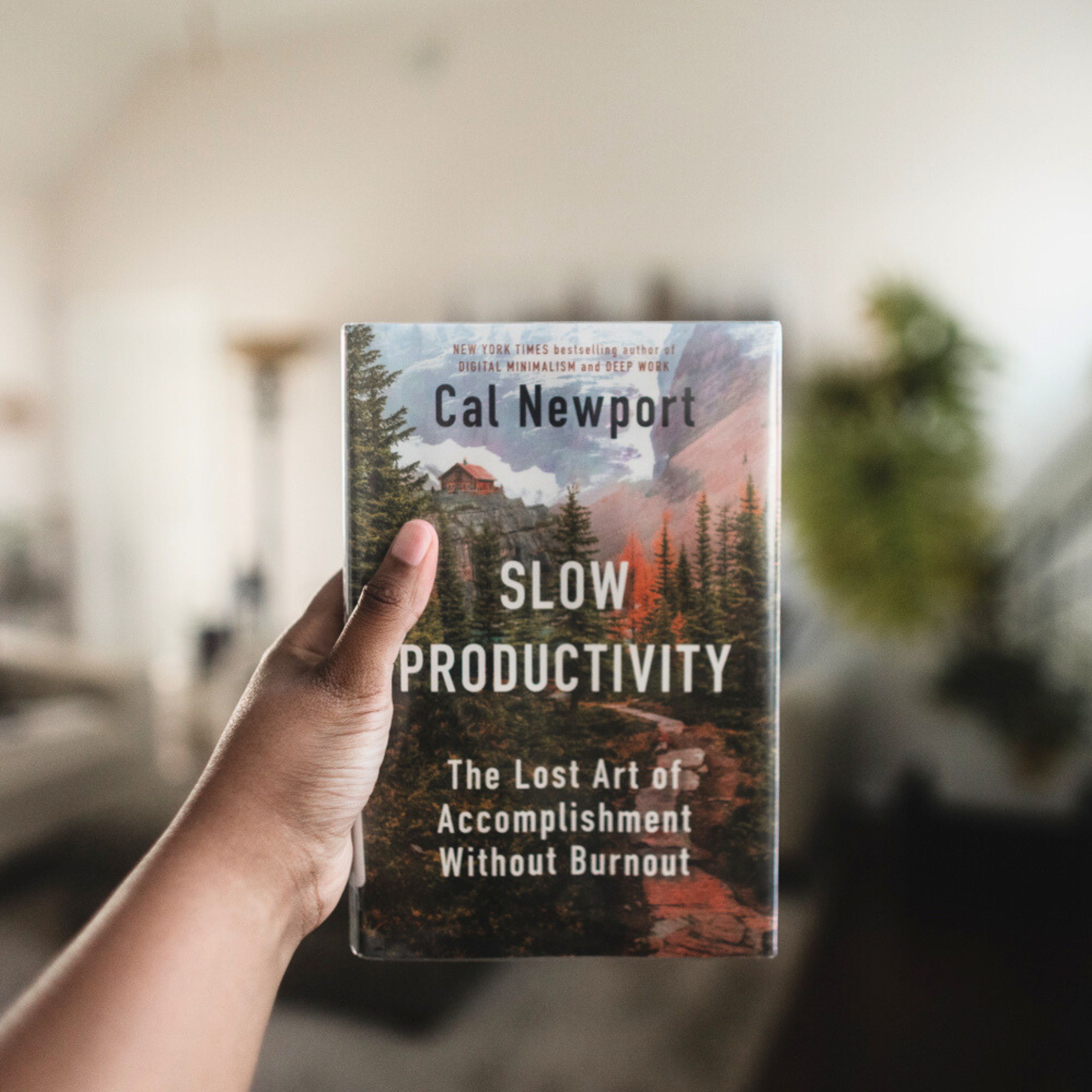 I read a chapter of Slow Productivity by Cal Newport for you