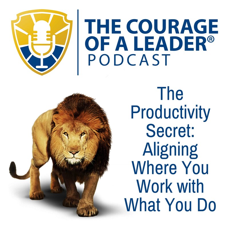 Artwork for podcast The Courage of a Leader