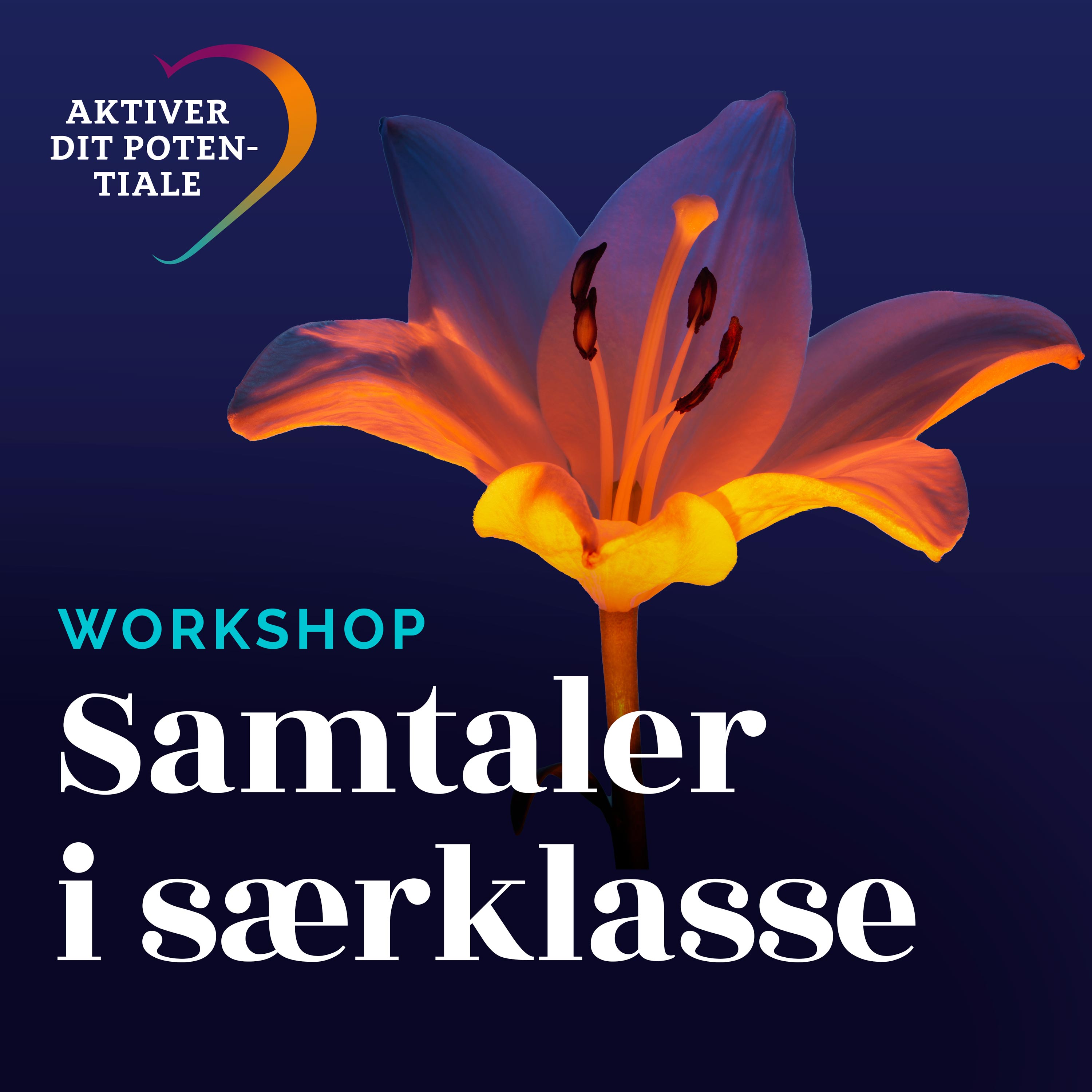 Workshop "Samtaler i særklasse" af Simon Philip