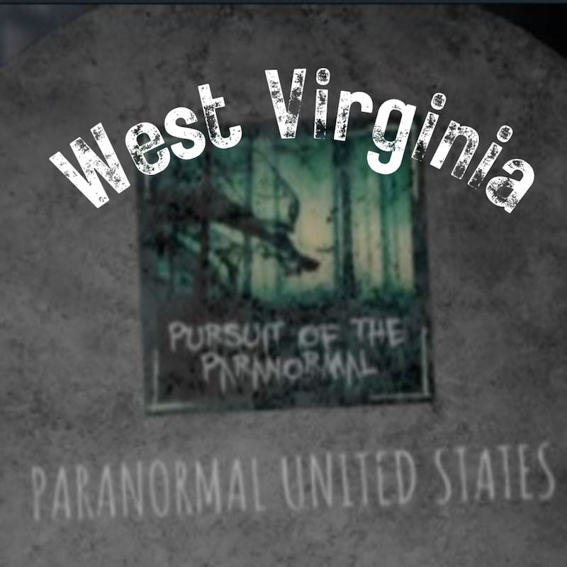 Artwork for podcast Pursuit of the Paranormal
