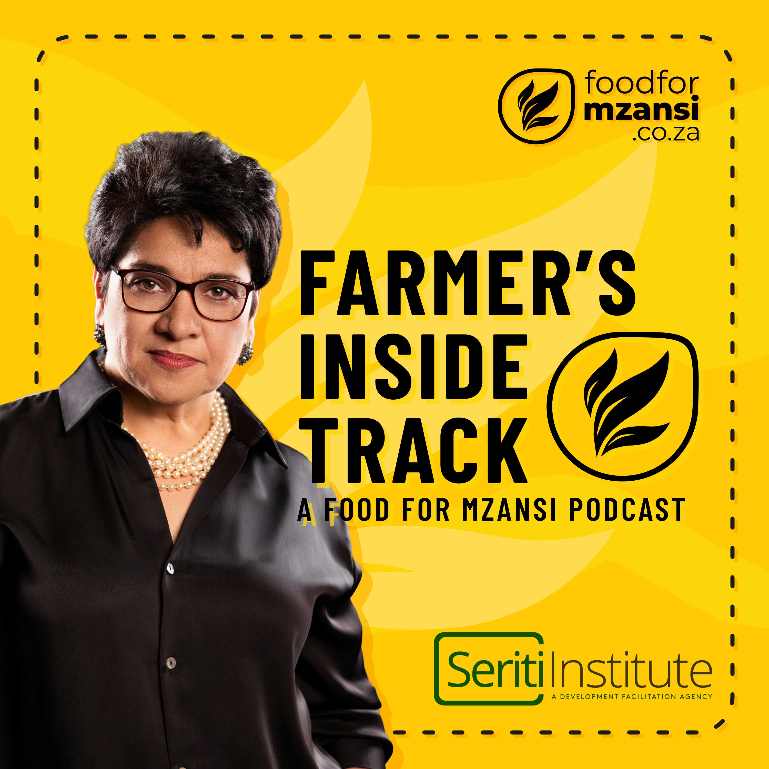 Seriti Institute builds resilient communities through integrated development