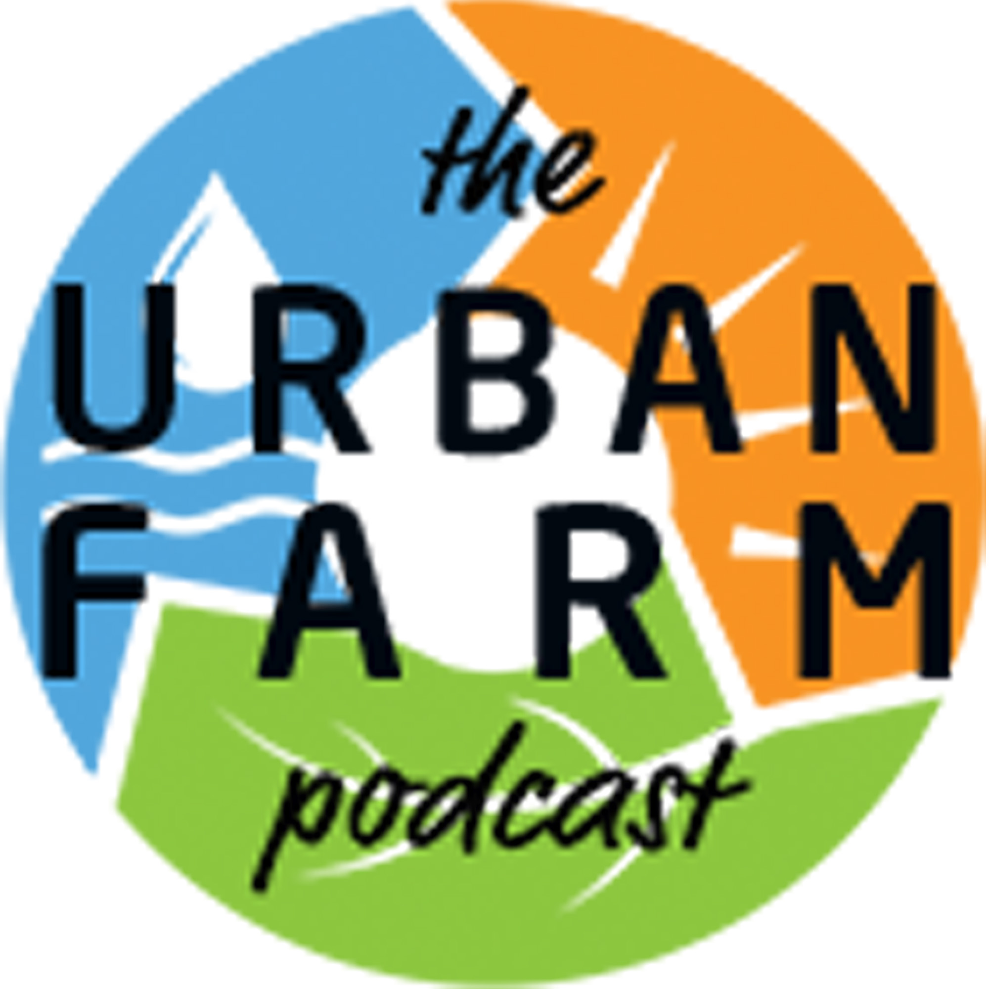 812: Seed Borne Diseases - A Seed Chat with Bill McDorman