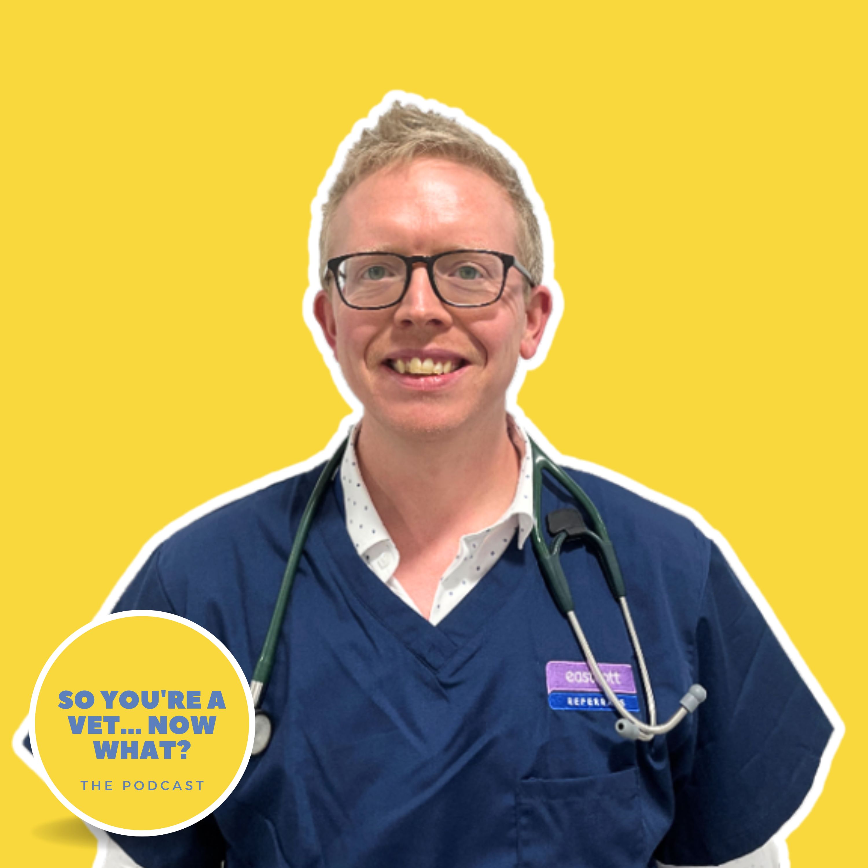 The \'So You\'re A Vet... Now What?\' Podcast