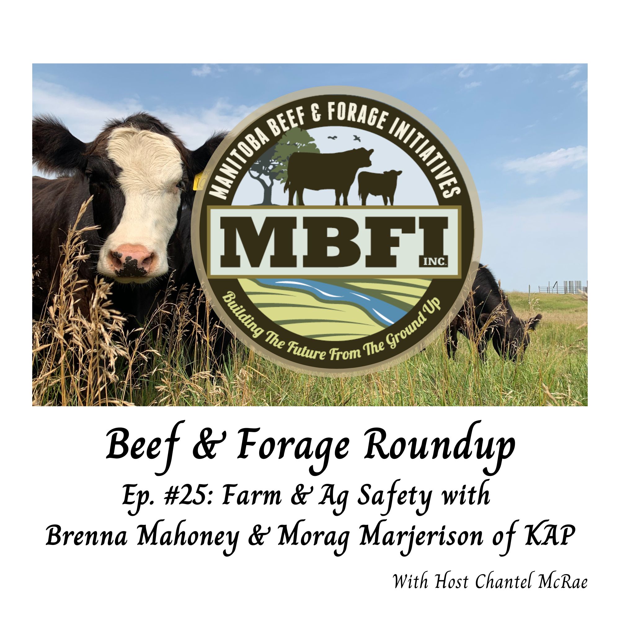 Beef and Forage Roundup