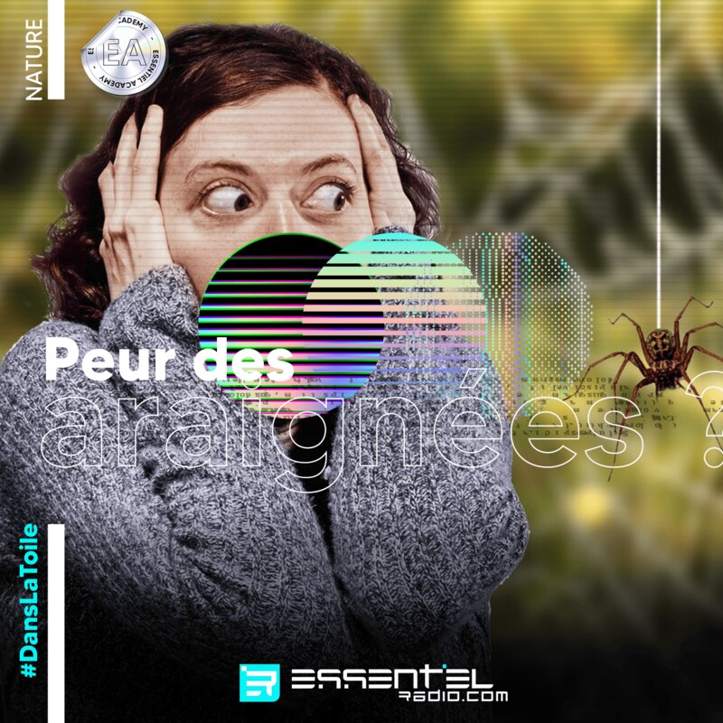 Artwork for podcast ESSENTIEL academy