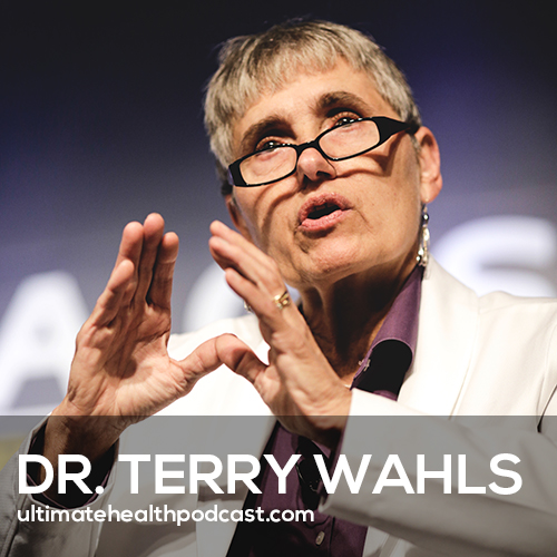 482: Learn How to Heal Your Autoimmune Disease Through Diet & Lifestyle | Dr. Terry Wahls episode artwork