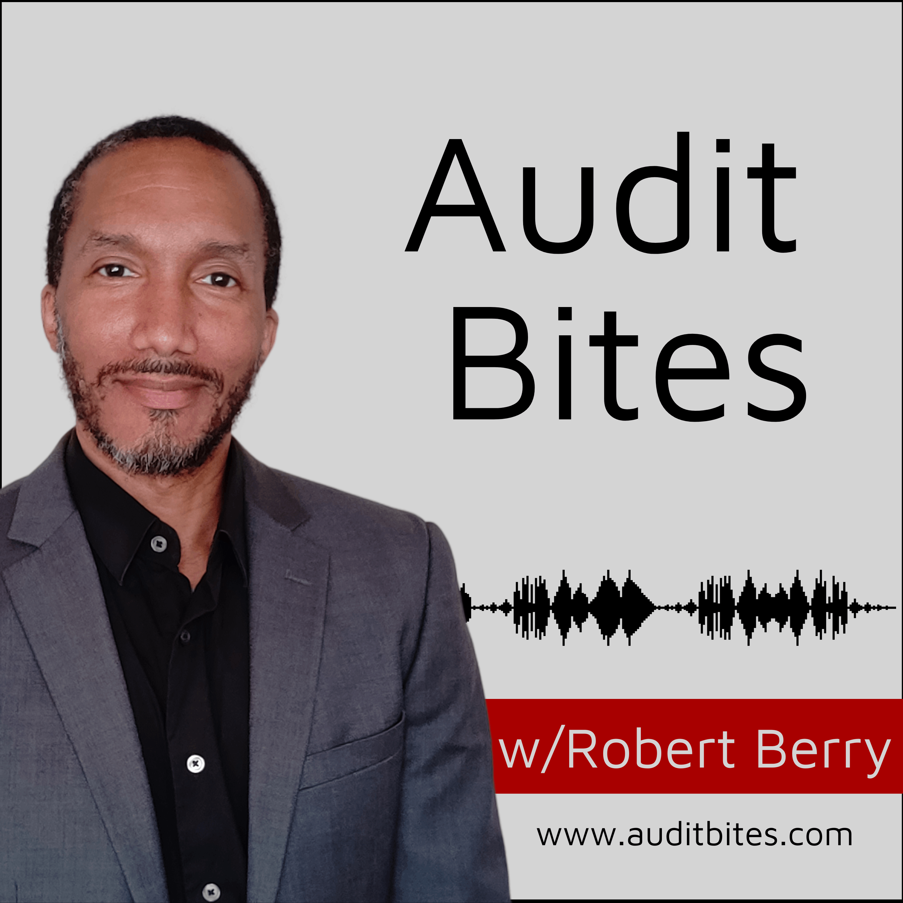 Artwork for podcast Audit Bites