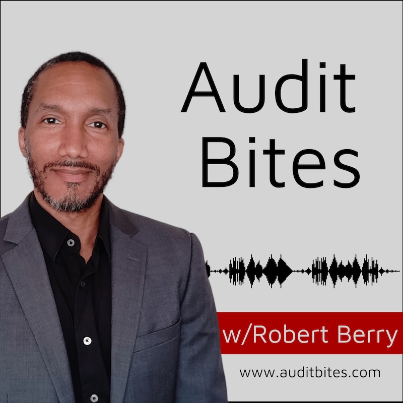Artwork for podcast Audit Bites