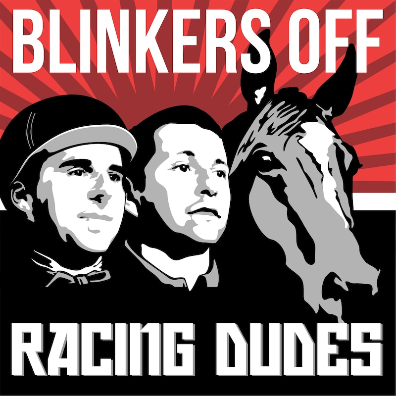 Artwork for podcast Blinkers Off