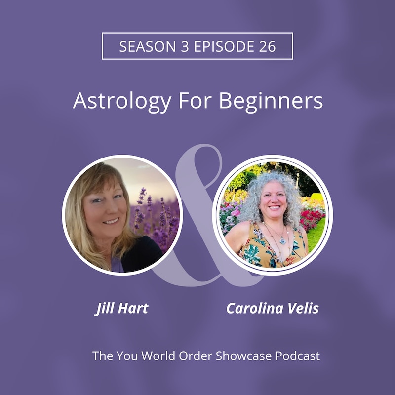 Artwork for podcast The You World Order Showcase Podcast