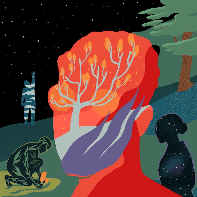 Artwork for podcast Future Ecologies