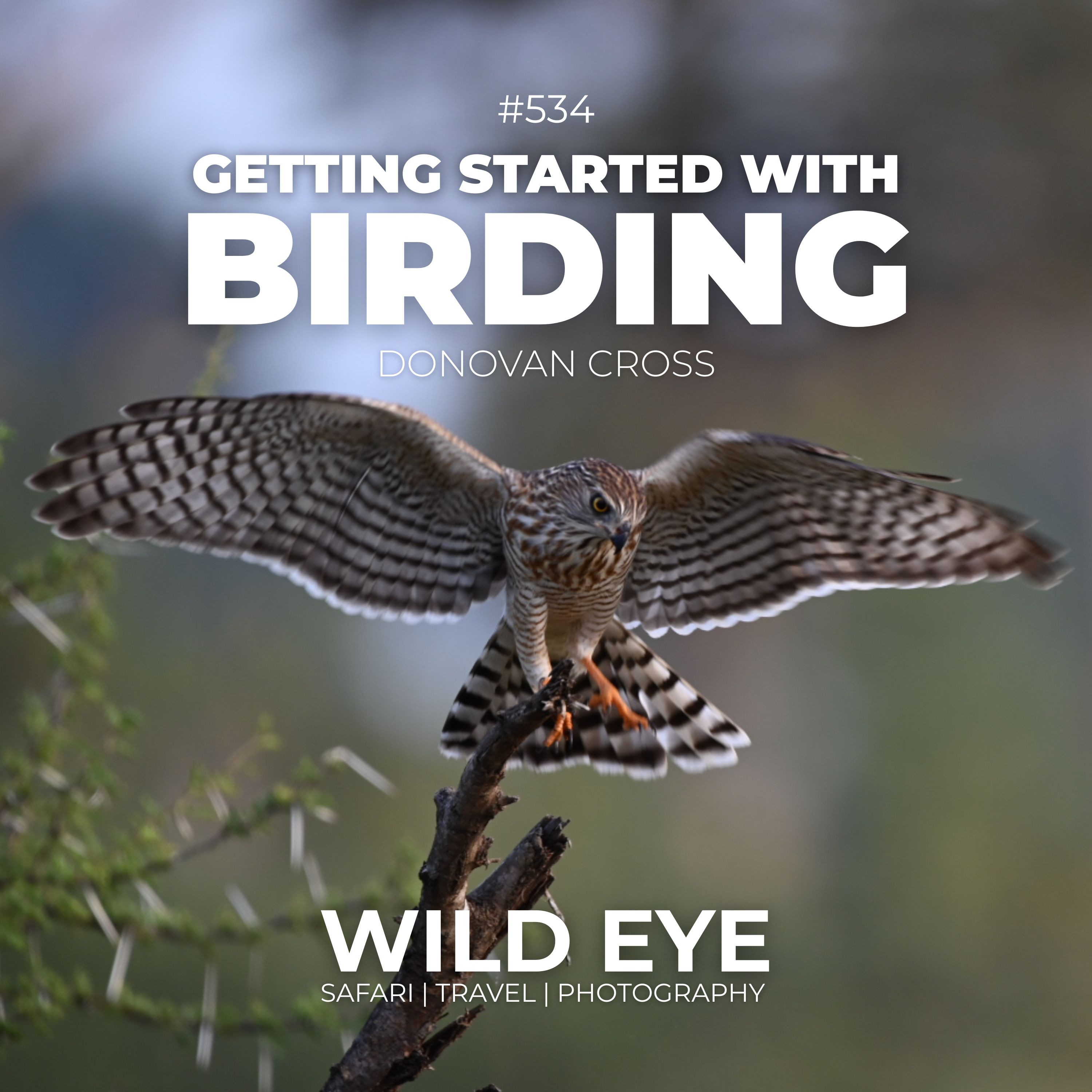 #534 - Getting Started With Birding