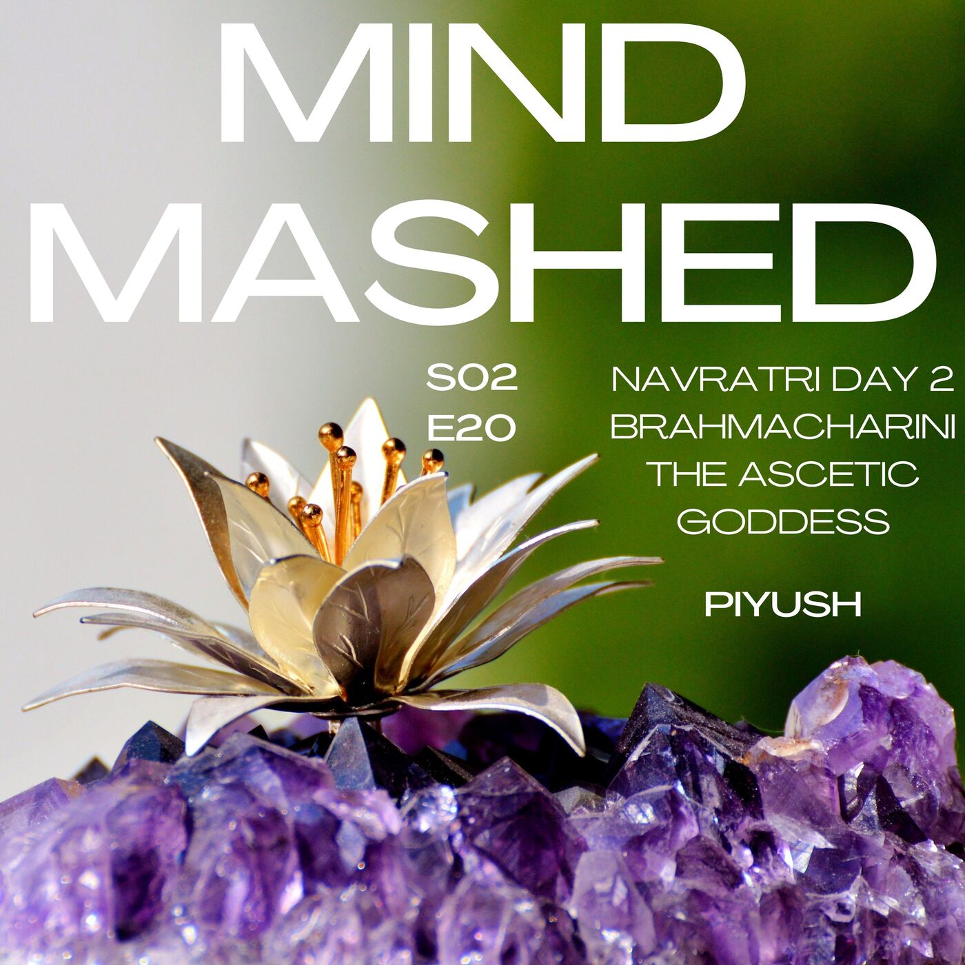 Mind Mashed - A Transformative Mindfulness & 5D Spirituality Podcast