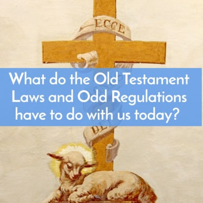 Artwork for podcast Bible805, Lessons and commentary to help you know, trust, apply, and teach the Bible
