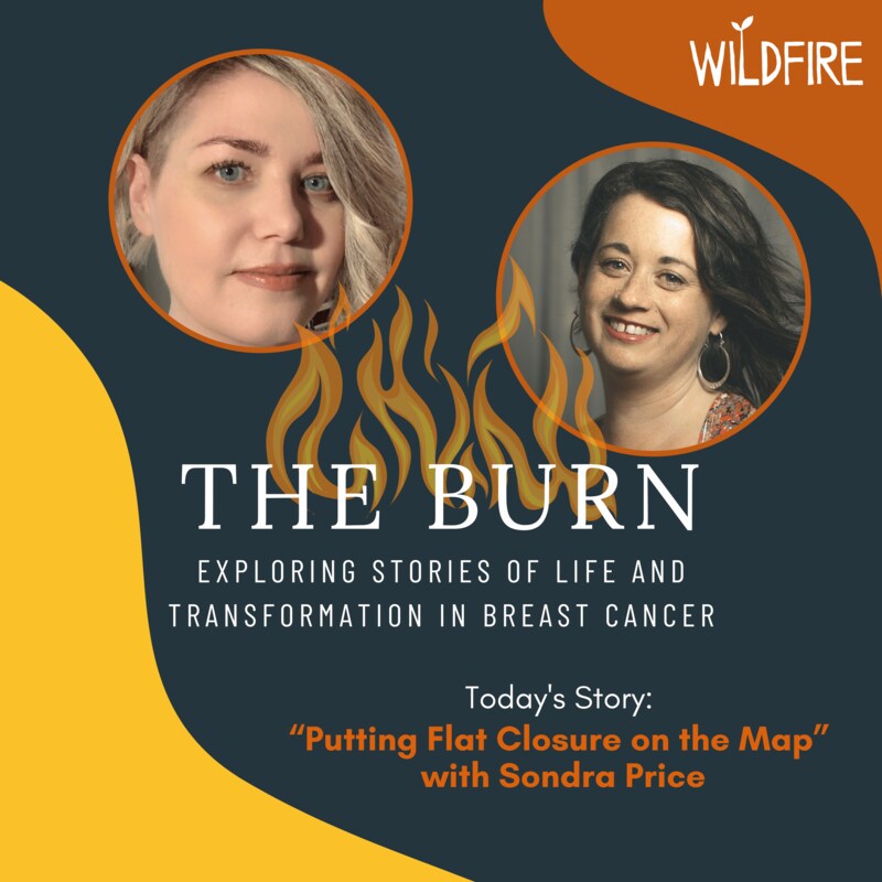 Artwork for podcast The Burn