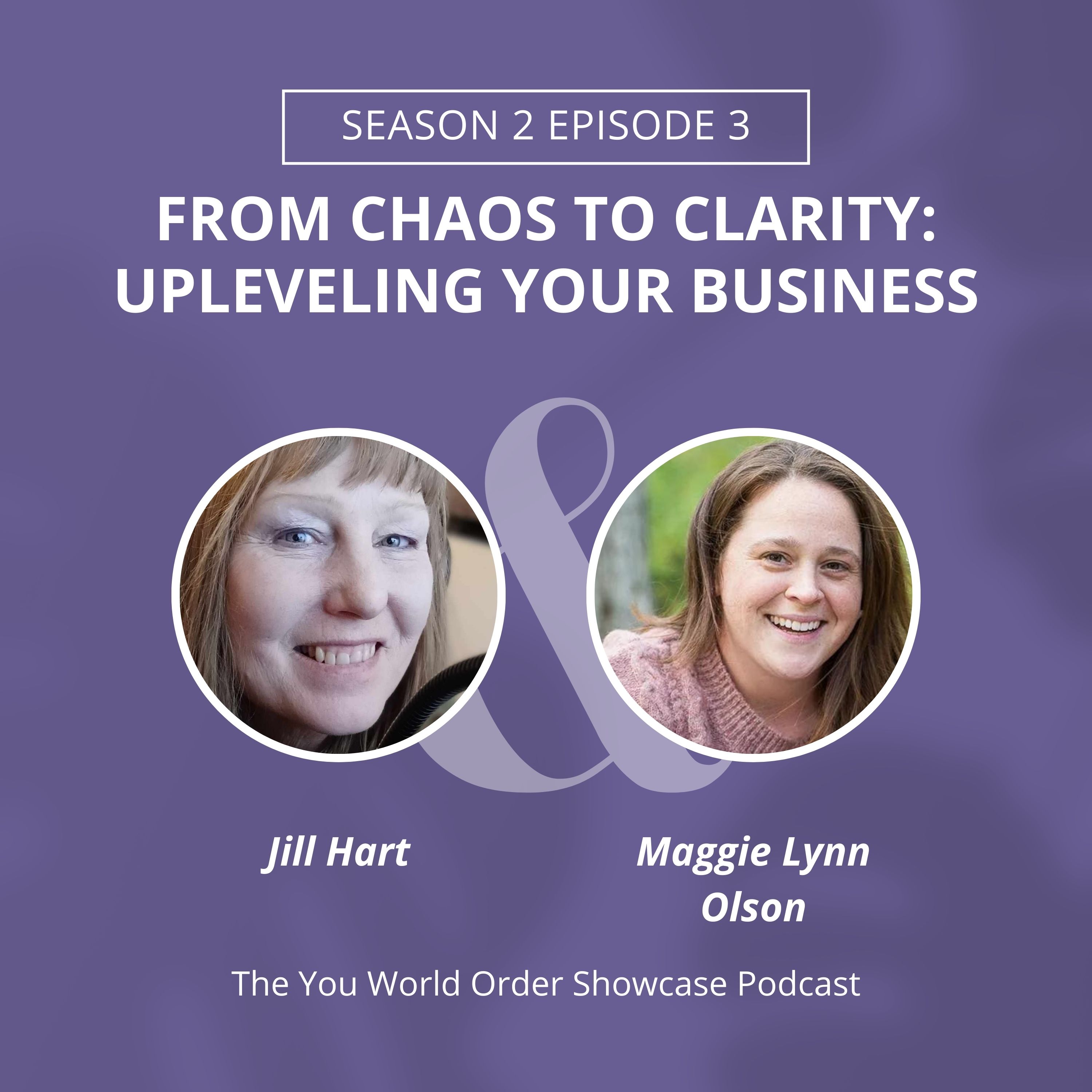 From Chaos to Clarity – Uplevel Your Business