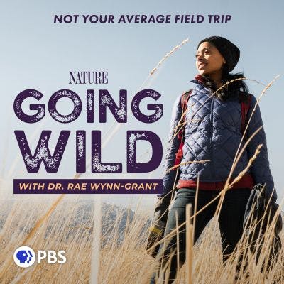 Introducing “Going Wild with Dr. Rae Wynn-Grant”