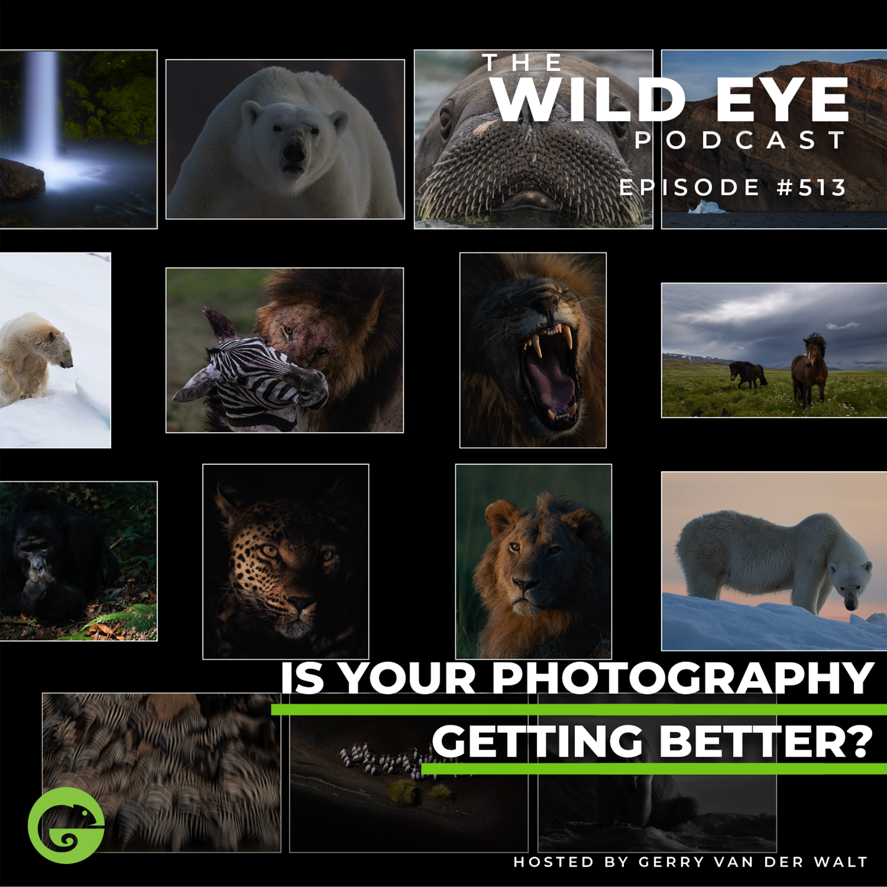 #513 - Is your photography getting better?