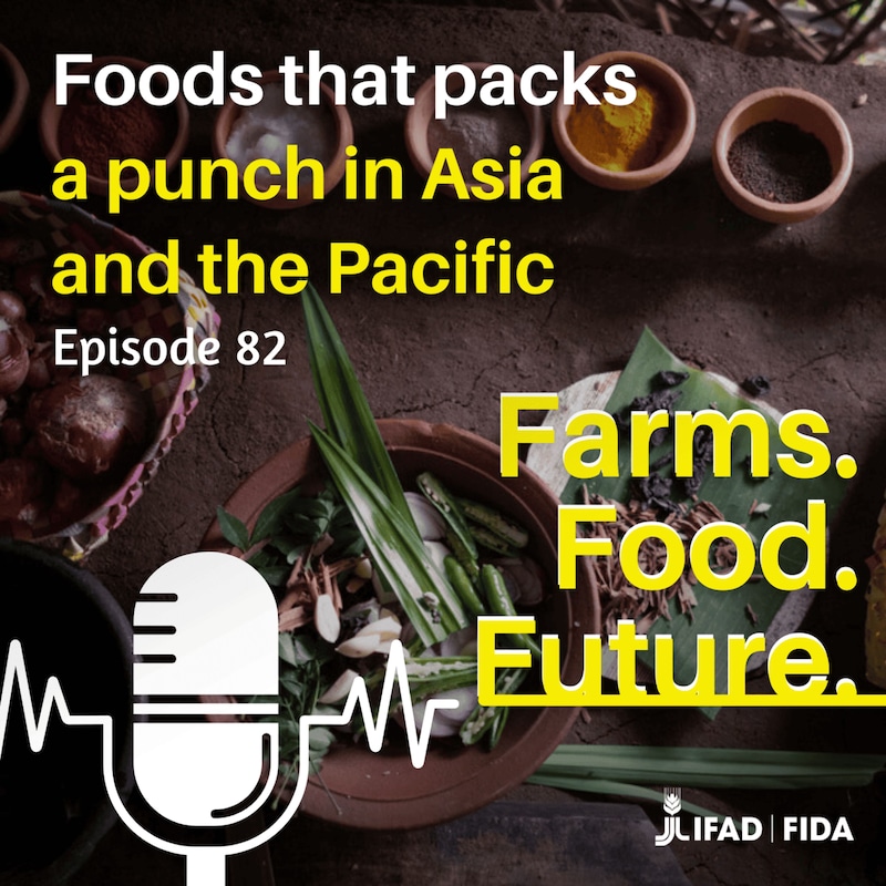 Artwork for podcast Farms. Food. Future.