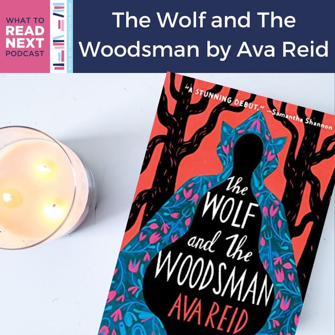 What to Read Next Podcast l Book Recommendation Show