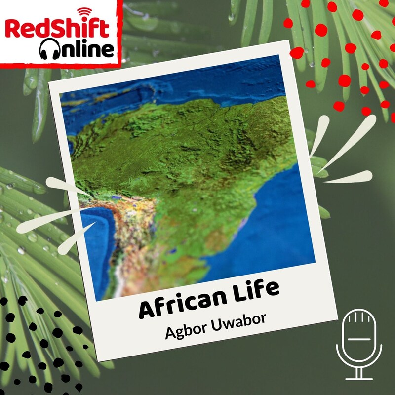 Artwork for podcast African Life