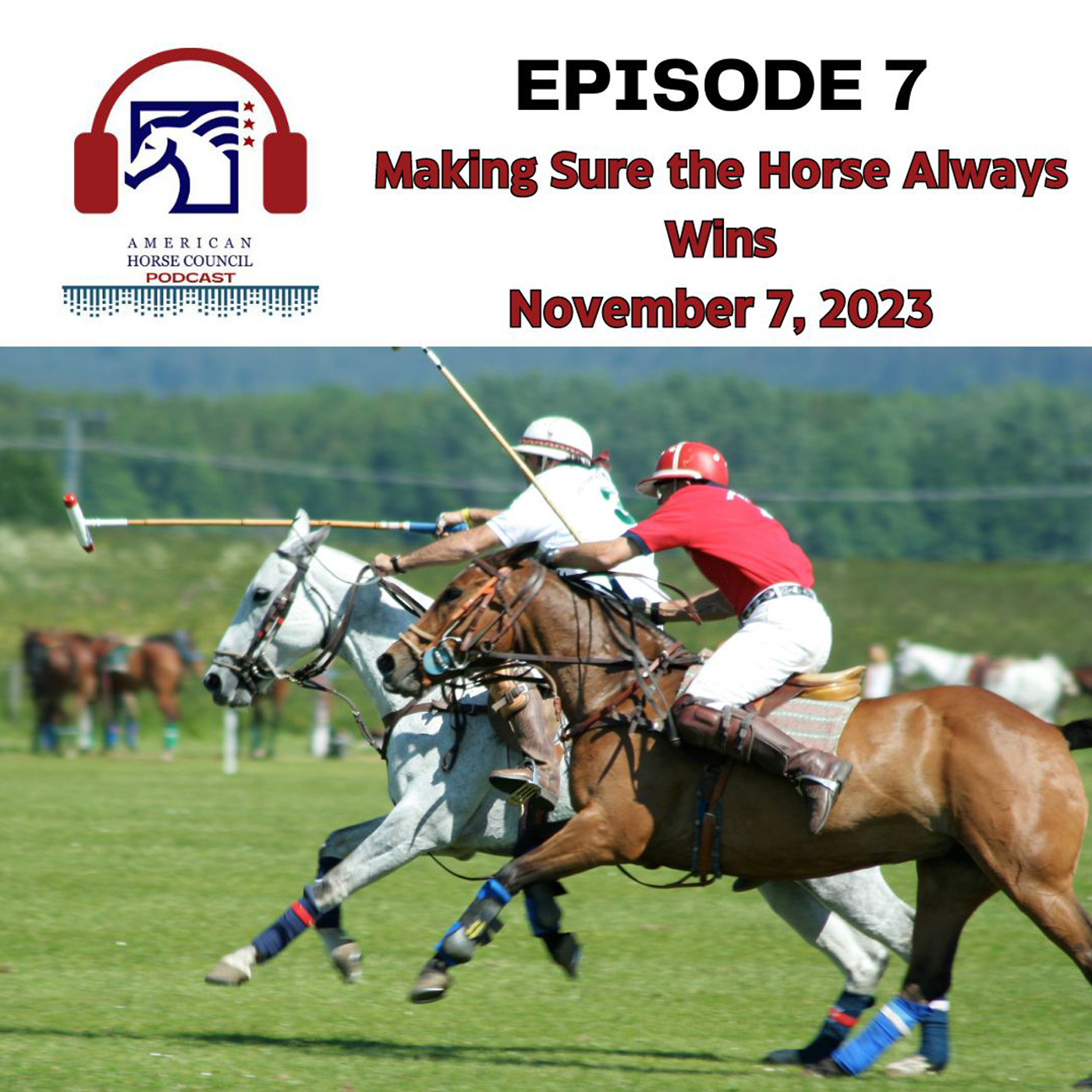 HRN Auditor Podcast
