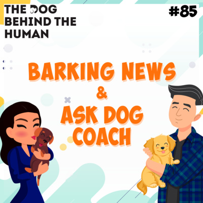 Ep 85: Barking News & Ask Dog Coach Edition Ep 85: Barking News & Ask Dog Coach Edition
