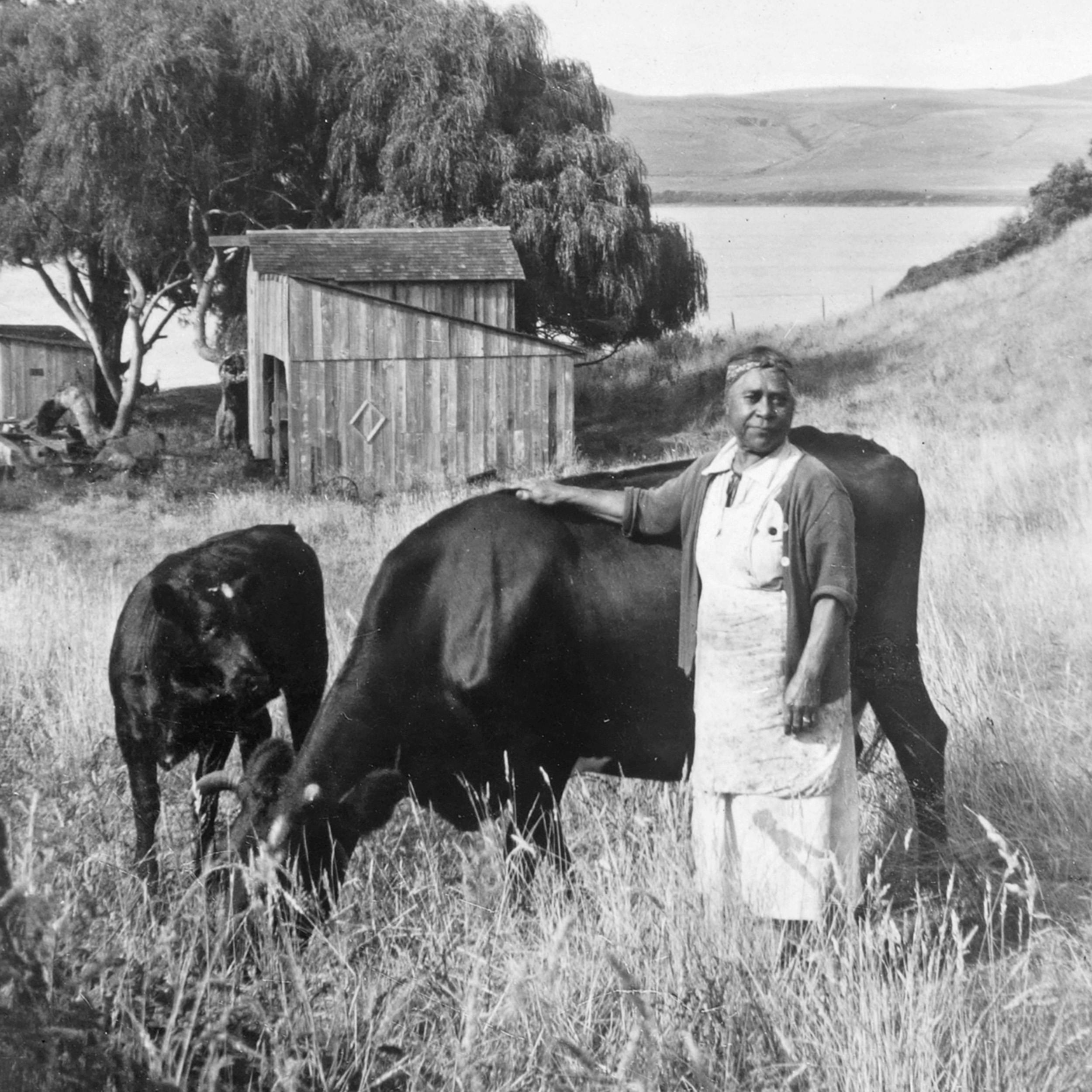 Coming Home to the Cove: A Story of Family, Memory, and Stolen Land – Episode 2