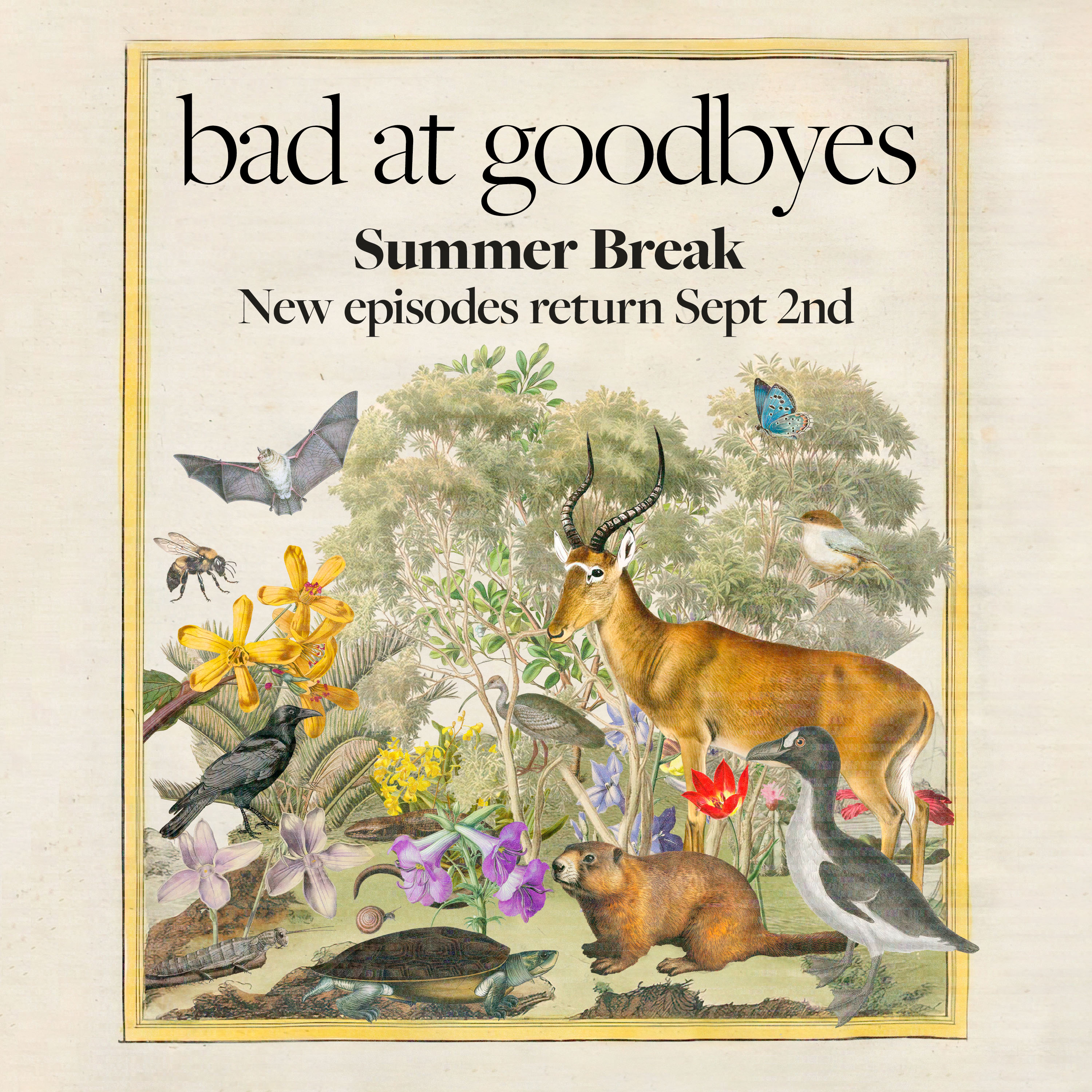 On Summer Break Until September episode artwork