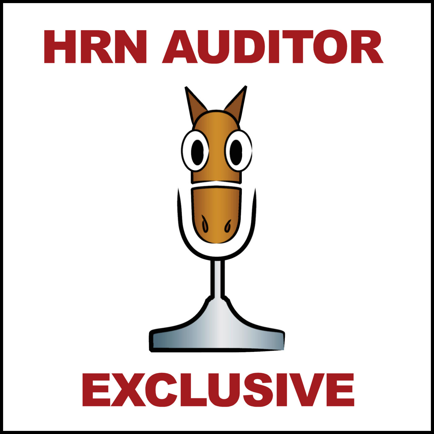 Show artwork for HRN Auditor Podcast