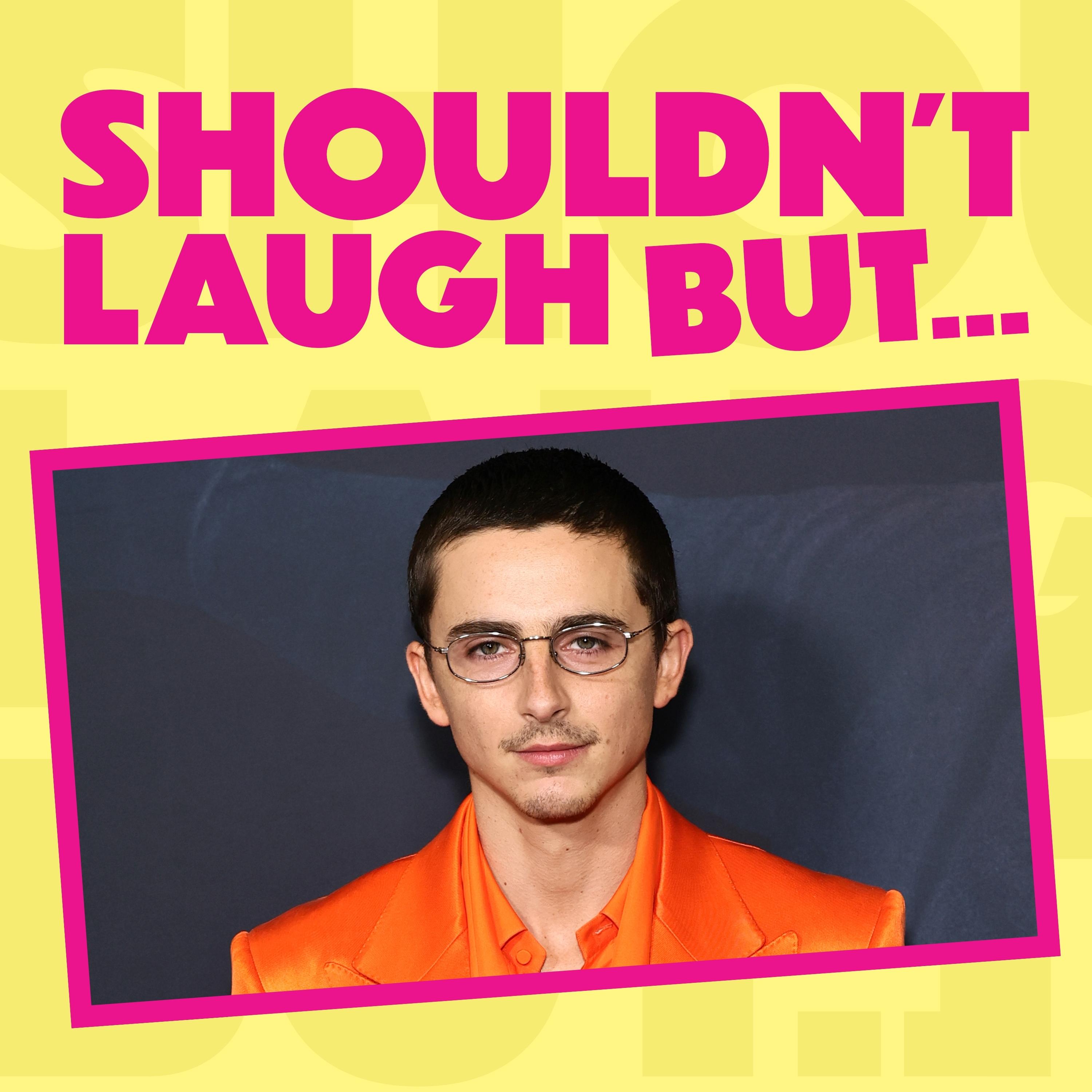 "Timothée Chalamet used to look like a Medieval Shoe" episode artwork
