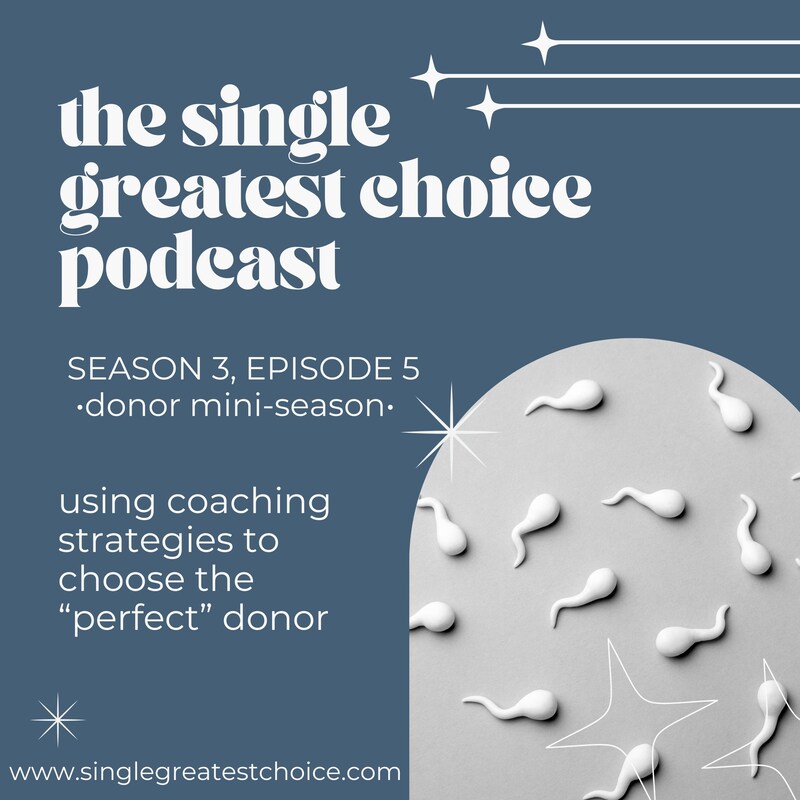 Artwork for podcast The Single Greatest Choice: For Single Women Exploring Solo Motherhood by Choice (SMBC), Fertility, and Having a Baby on Their Own Through Donor Conception or Adoption