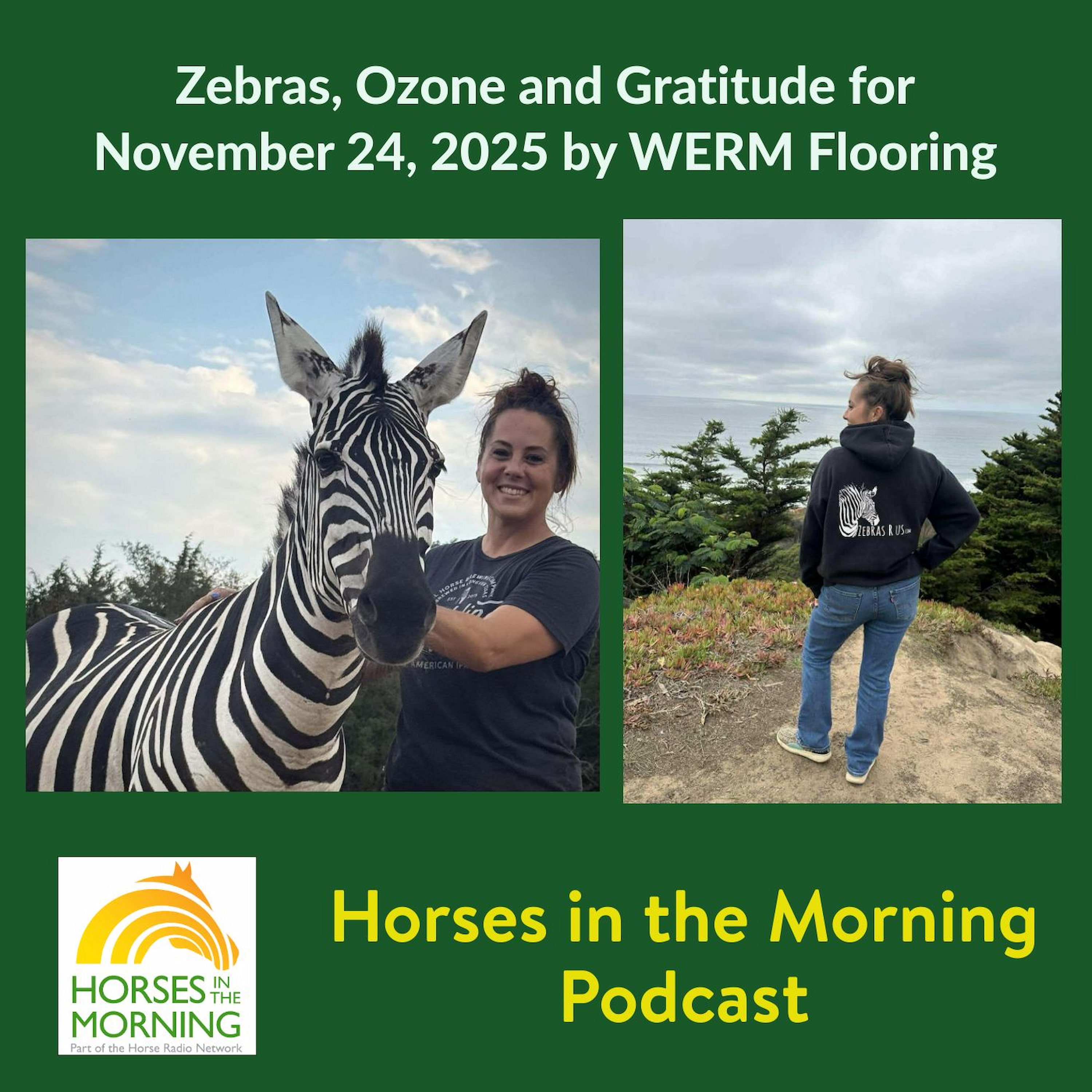 Zebras, Ozone and Gratitude for November 24, 2025 by WERM Flooring - Horses in the Morning Zebras, Ozone and Gratitude for November 24, 2025 by WERM Flooring - Horses in the Morning