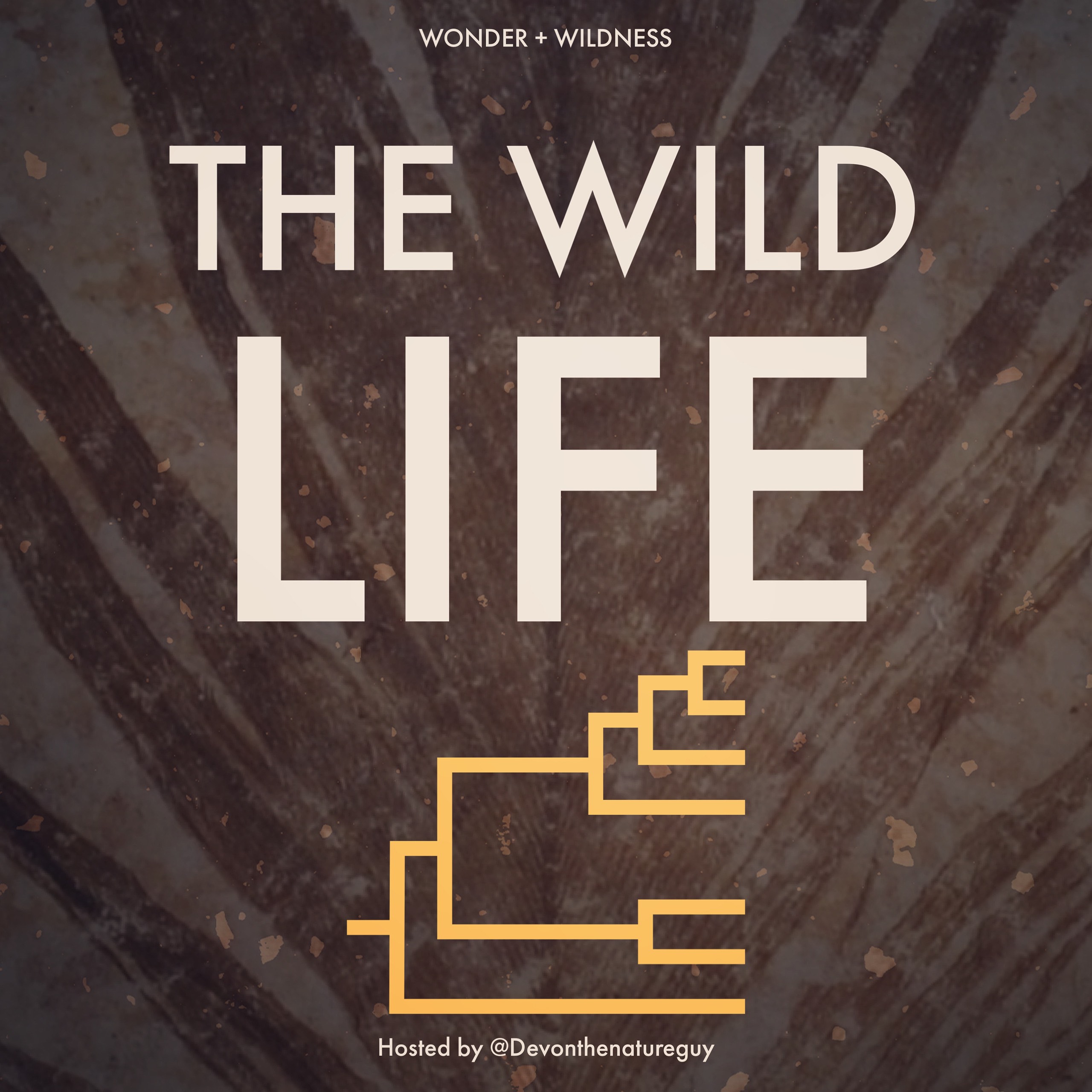 Artwork for The Wild Life