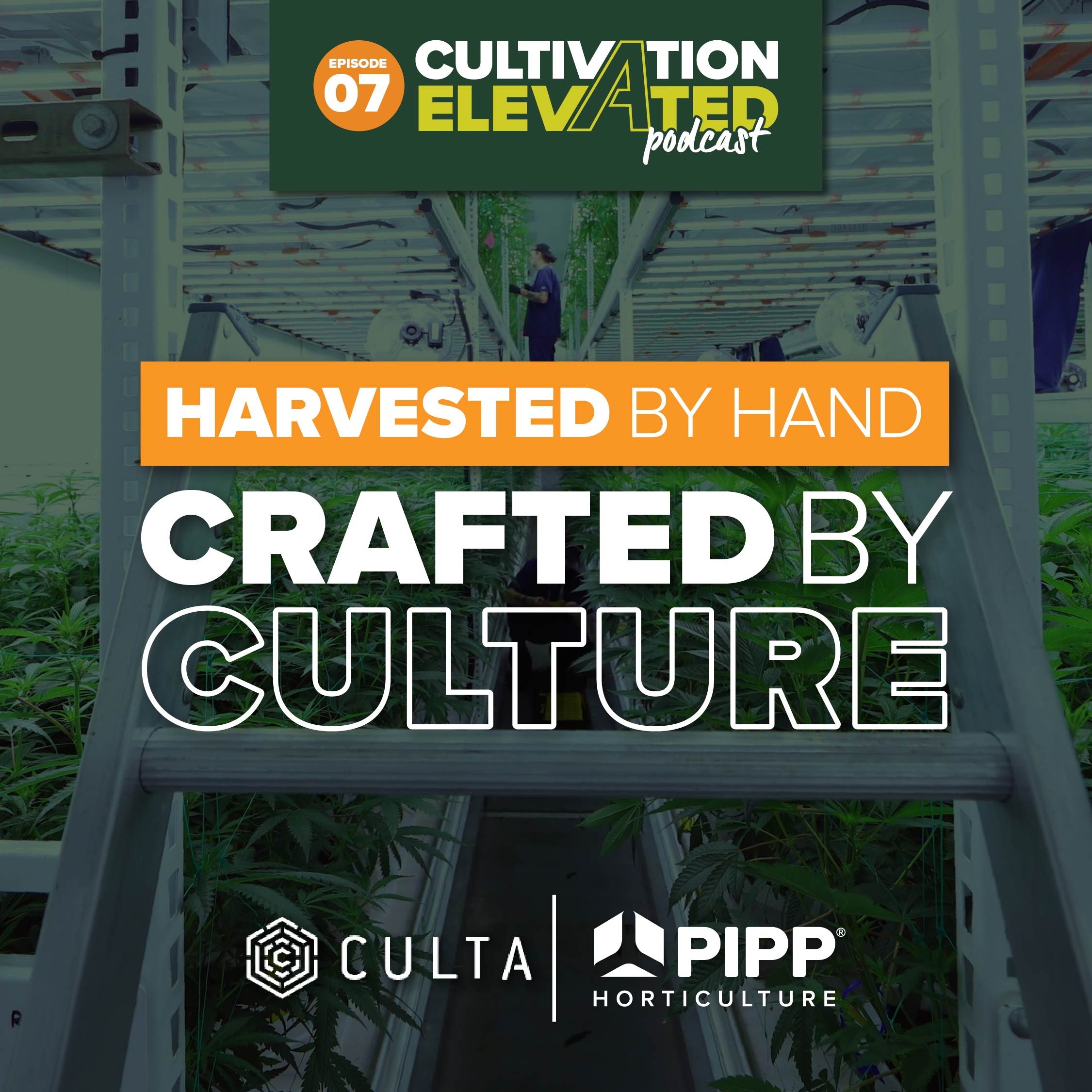 Cultivation Elevated - Indoor Farming, Cannabis Growers & Cultivators - Pipp Horticulture