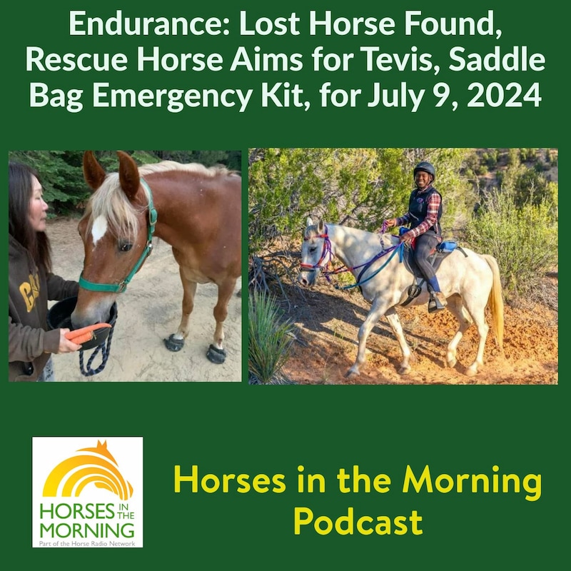 Artwork for podcast HORSES IN THE MORNING
