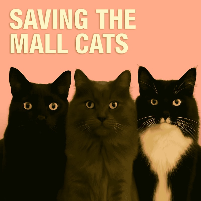 Artwork for podcast Animal Posse