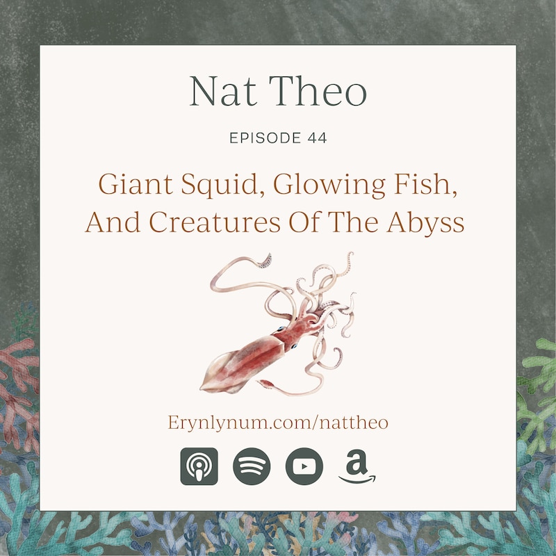 Artwork for podcast Nat Theo Nature Lessons Rooted in the Bible