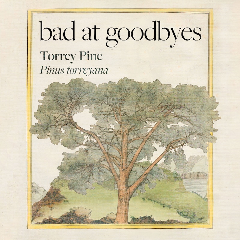 Artwork for podcast Bad at Goodbyes