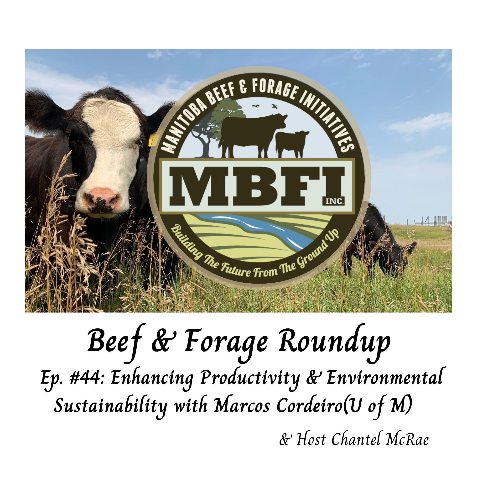 Beef and Forage Roundup