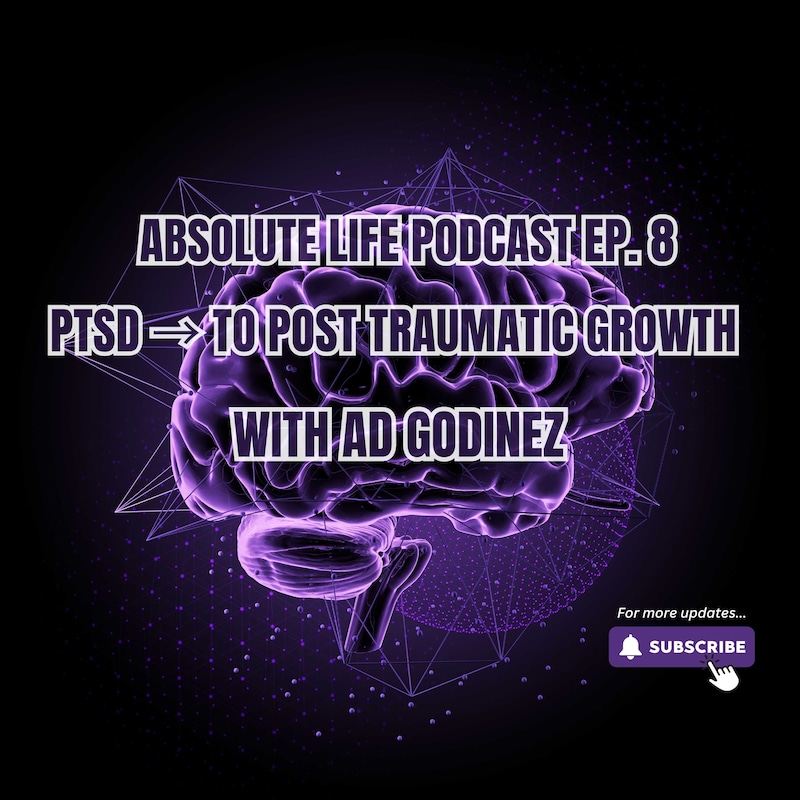Artwork for podcast The Absolute Life