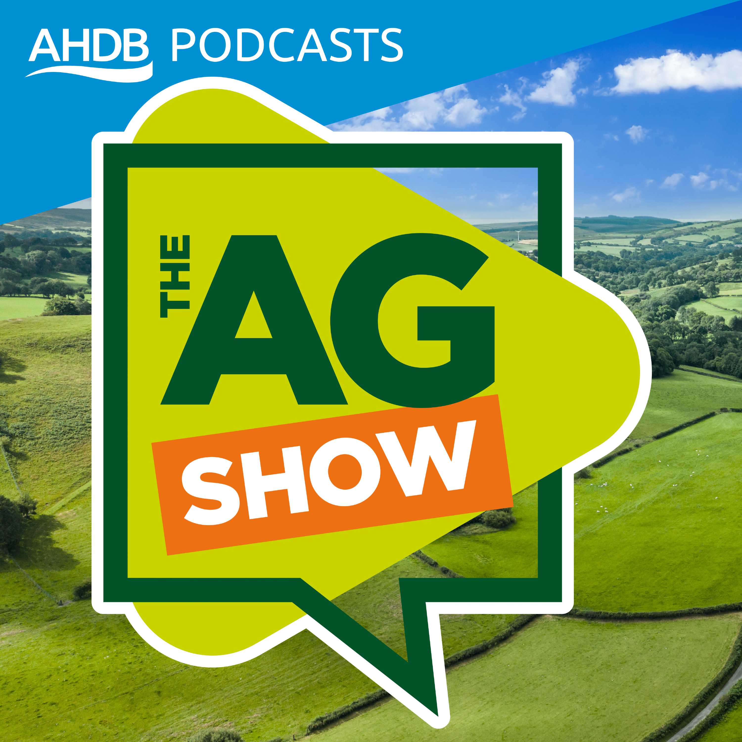 Show artwork for The AG Show