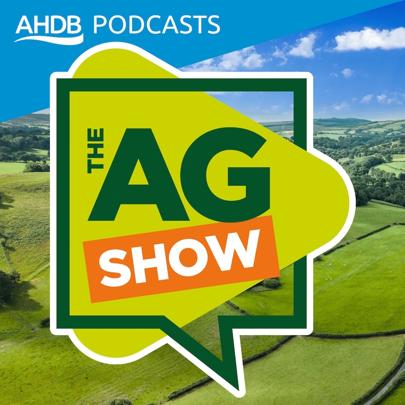Artwork for podcast The AG Show